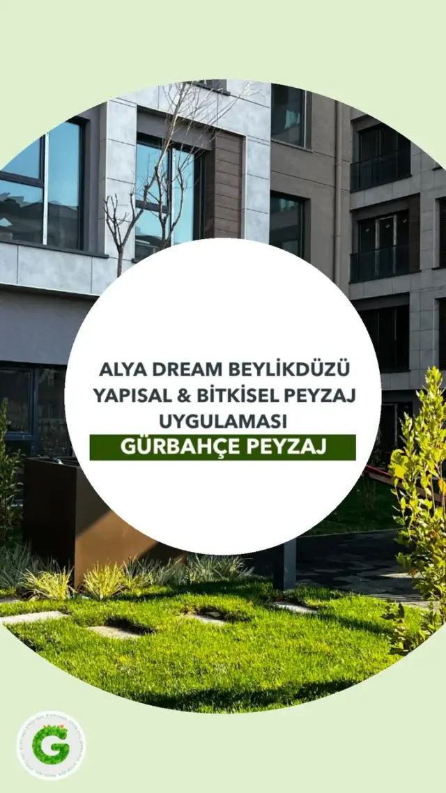 ALYA DREAM BEYLİKDÜZÜ KONUTLARI PEYZAJ ÇALIŞMA SÜRECİMİZ 🏡

#gürbahçepeyzaj #peyzajproje #peyzajtasarım #peyzajkonsept #peyzajuygulama #beylikdüzü #istanbul #basaksehir #alyadream